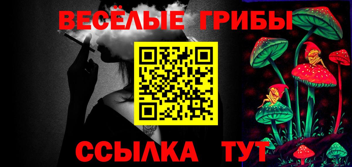 Пугачёв  Псилоцибиновые грибы MAGIC MUSHROOMS  Галлюциногенные грибы Psilocybine cubensis  Вход с VPN 